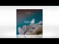 Track of the Day (10/12/2020) ~ Forty Cats - Boruta (Original Mix) ~ [This Never Happened]