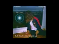 Tame Impala - Borderline - Single Version (432 Hz)