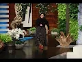 Melissa McCarthy Loses Her Mind at Her Kids Basketball Games