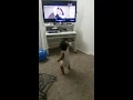 Tauba Tauba  Dance 15 months  baby