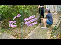 DIY Temporary Dog Fence with PVC Pipe