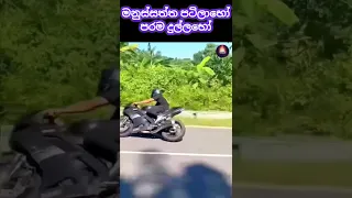 ජ ව තයක වට න කම න ද න ම 