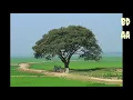Download Lagu The_Loved_One || Arabic \u0026 English Mixed Nasheed || Talib Al Habib