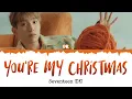 Download Lagu SEVENTEEN (DK) - You're My Christmas [INDO SUB] Lyrics •Color Coded IND/ENG/HAN(ROM)•