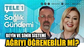Beyin ve Sinir sistemi ağrıyı öğrenebilir mi? Prof. Dr. Serbülent Gökhan Beyaz açıklıyor