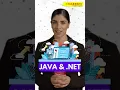 Complete Placement Assistance Program JAVA and Dot Net Developer NareshIT
