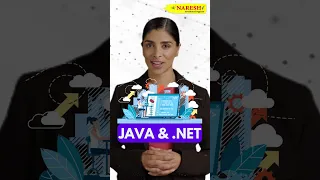 Complete Placement Assistance Program JAVA and Dot Net Developer NareshIT