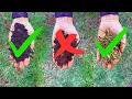 What Mulch is Best and WORST for FLOWER BEDS