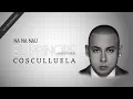 Cosculluela - Na Na Nau (Visualizer)