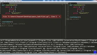 Explaining Python Indentation error when mixing tabs and spaces