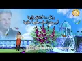 Ragheb Alama - Albi Ashe2ha (remake version - 8D Audio)راغب علامة - قلبي عشقها