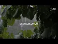 مسلم - لو بس نرجع - حالات واتس