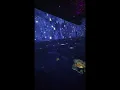 Beyond Van Gogh immersive experience