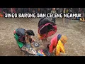 Download Lagu ngamuk, celeng kabruki kepang!! NEW SATRIO PANDOWO