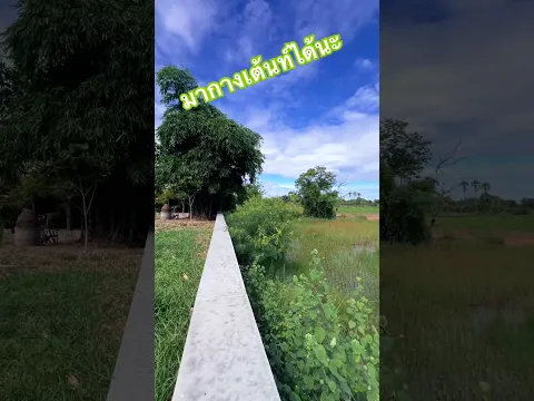 ชอบกางเต้นท์มั่ยคะ