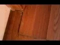 NYCHA SECTION 8 housing fraud