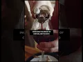 Download Lagu HANGXIETY After Drinking ALCOHOL | Dr. Andrew Huberman #andrewhuberman