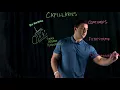 Types of Capillaries