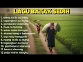 Download Lagu Driving in SIRAMBAS VILLAGE | Lagu Batak Sedih Viral 😭 | Suara Hati Anak Rantau