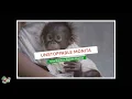 GIVE ORANGUTAN MONITA A SECOND CHANCE!