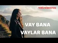 Vay Bana Vaylar Bana | Hepimizin Dalıp Gittiği O Anlar          #müzik #arabesk #türküler