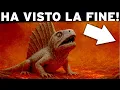 Download Lagu Questo Era l'Aspetto della Vita sulla Terra Prima della Più Grande Estinzione!  DOCUMENTARIO SPAZIO