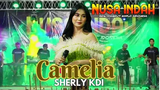 camelia sherly kdi om nusa indah live kec pangarengan sampang official live music 