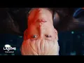Download Lagu INI | 'WMDA(Where My Drums At)' Official MV