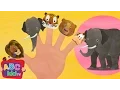 Download Lagu Finger Family - Animals | CoCoMelon Nursery Rhymes \u0026 Kids Songs