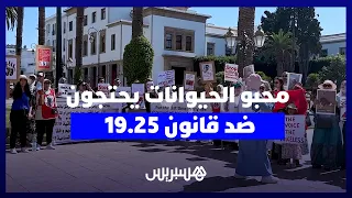 محبو الحيوانات يحتجون أمام البرلمان ضد مشروع القانون 19.25