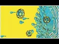 Stereolab - Cybele's Reverie (Live at the Hollywood Bowl)