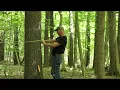 Timber Framing Tips Choosing The Right Trees for Timbers