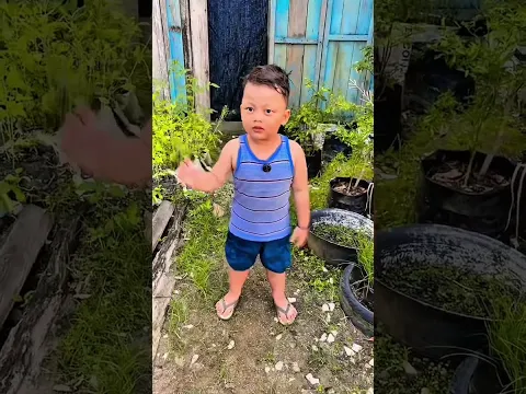 cari baloj merah sampe ketemu !