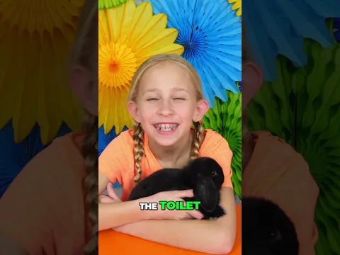 Meet Sammy! The Cutest Bunny: Breed, Care & Goodbye! #shorts