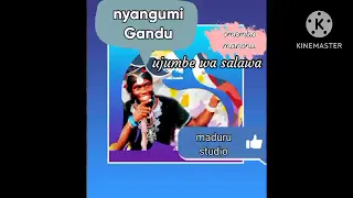 nyangumi gandu ujumbe wa salawa 29 2023