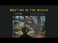 Lord Huron - Meet Me In The Woods (1 Hour Loop)