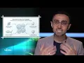 Common Misconceptions About Vitamin B12 - Dr. Davut Dal | Wishing You Healing