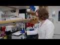 Research Scouts Scholar Joanna Mattis M D Ph D