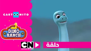 داينو رانش حلقة فقرة كارتونيتو على كرتون نتورك 