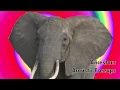 PostgreSQL 9 3 Learn how to deploy Streaming Replication promo