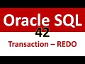 Oracle SQL Developer Tutorial For Beginners 42 Handling a Transaction through REDO