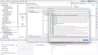 Using a shared Java data model across Mule applications