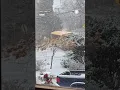 School Bus Slides Down Hill SIDEWAYS