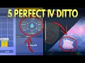 How to Find Ditto in Pokemon Scarlet Violet w 5 Perfect IVs