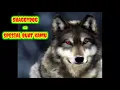 SHAGGYDOG - SPESIAL BUAT KAMU