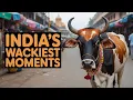 Lagu American Reacts to Exploring India's Most Bizarre Traditions