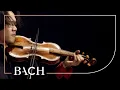 Lagu Bach - Vioolconcert in d klein BWV 1052R - Sato | Nederlandse Bachvereniging