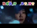 AI BEI WU QING LIU FANG ( 爱被无情流放 ) PINYIN LYRICS