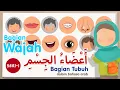 Download Lagu Belajar nama bagian tubuh dalam bahasa arab - seri 1 (bagian wajah)