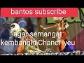 Download Lagu audio Semar Tandang full tamat|wayang golek Asep Sunandar Sunarya almr